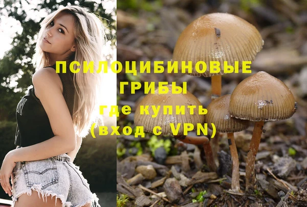 ГАЛЛЮЦИНОГЕННЫЕ ГРИБЫ Мегион